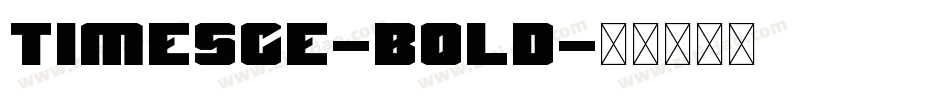 TimesCE-Bold字体转换