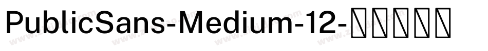 PublicSans-Medium-12字体转换