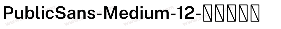 PublicSans-Medium-12字体转换