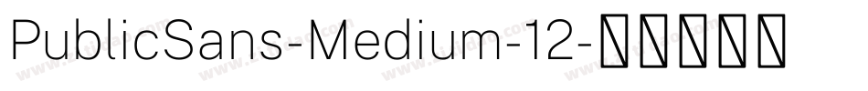 PublicSans-Medium-12字体转换