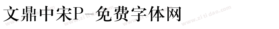 文鼎中宋P字体转换