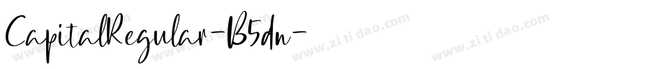 CapitalRegular-B5dn字体转换