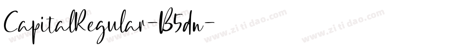 CapitalRegular-B5dn字体转换