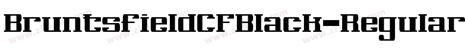 BruntsfieldCFBlack-Regular字体转换