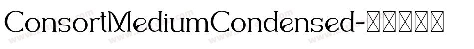 ConsortMediumCondensed字体转换