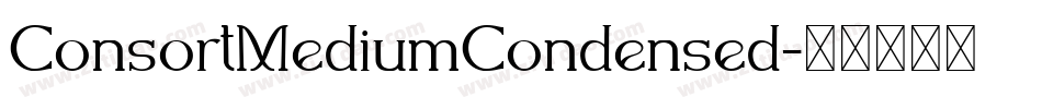ConsortMediumCondensed字体转换