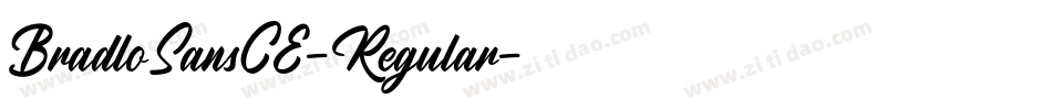 BradloSansCE-Regular字体转换
