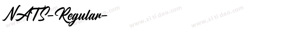 NATS-Regular字体转换