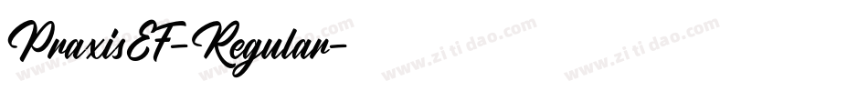 PraxisEF-Regular字体转换