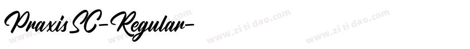 PraxisSC-Regular字体转换