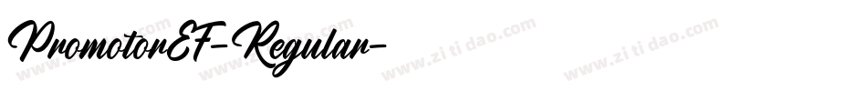 PromotorEF-Regular字体转换