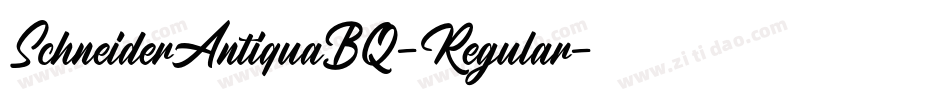 SchneiderAntiquaBQ-Regular字体转换