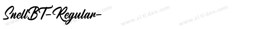 SnellBT-Regular字体转换