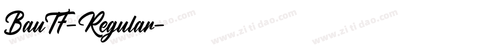 BauTF-Regular字体转换