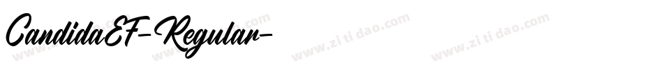 CandidaEF-Regular字体转换