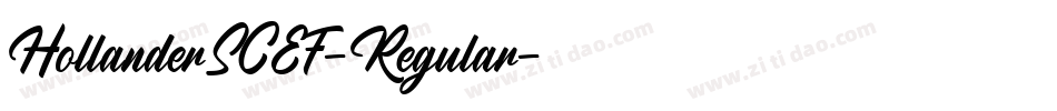 HollanderSCEF-Regular字体转换