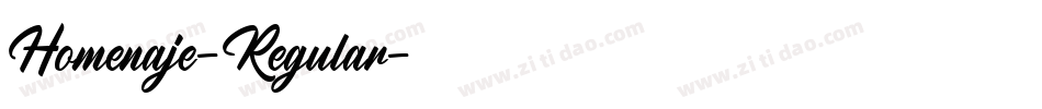 Homenaje-Regular字体转换