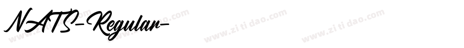 NATS-Regular字体转换
