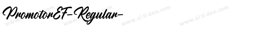 PromotorEF-Regular字体转换