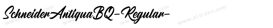 SchneiderAntiquaBQ-Regular字体转换