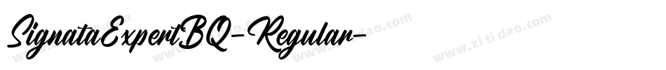 SignataExpertBQ-Regular字体转换 SignataExpertBQ-Regular字体转换