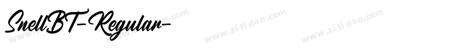 SnellBT-Regular字体转换
