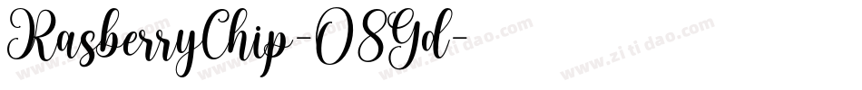 RasberryChip-O8Gd字体转换