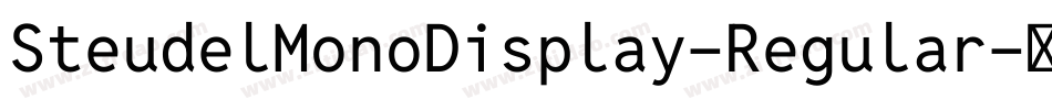 SteudelMonoDisplay-Regular字体转换
