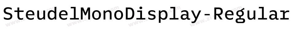 SteudelMonoDisplay-Regular字体转换