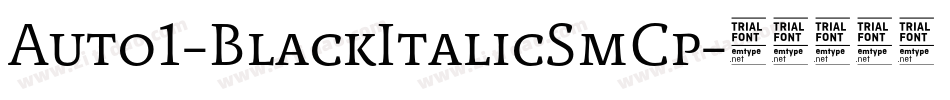 Auto1-BlackItalicSmCp字体转换 Auto1-BlackItalicSmCp字体转换