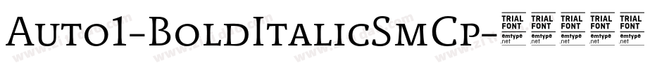 Auto1-BoldItalicSmCp字体转换 Auto1-BoldItalicSmCp字体转换
