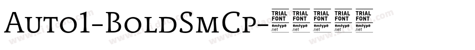 Auto1-BoldSmCp字体转换