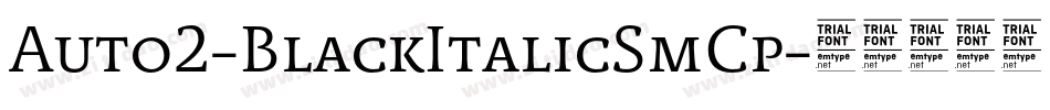 Auto2-BlackItalicSmCp字体转换 Auto2-BlackItalicSmCp字体转换