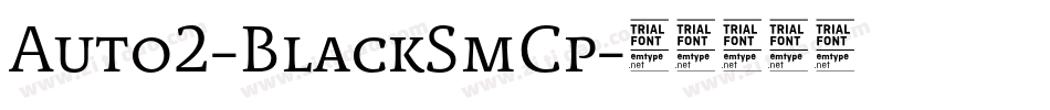 Auto2-BlackSmCp字体转换