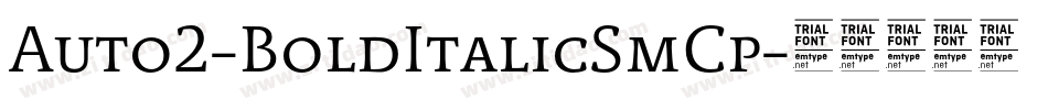 Auto2-BoldItalicSmCp字体转换 Auto2-BoldItalicSmCp字体转换
