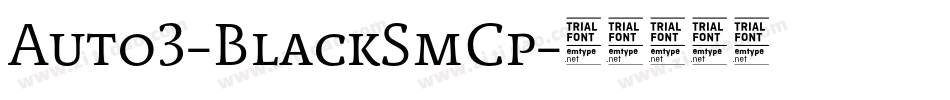 Auto3-BlackSmCp字体转换 Auto3-BlackSmCp字体转换