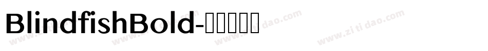 BlindfishBold字体转换