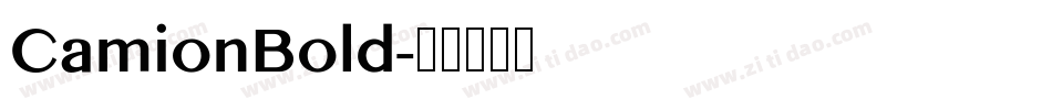 CamionBold字体转换