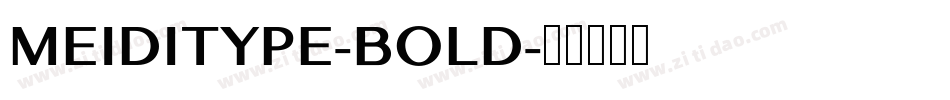 MEIDITYPE-BOLD字体转换