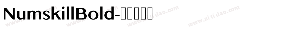 NumskillBold字体转换