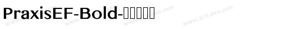 PraxisEF-Bold字体转换