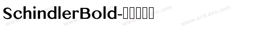 SchindlerBold字体转换