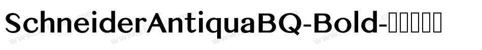 SchneiderAntiquaBQ-Bold字体转换
