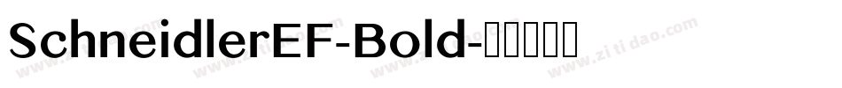 SchneidlerEF-Bold字体转换