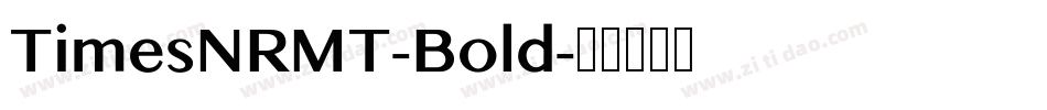 TimesNRMT-Bold字体转换