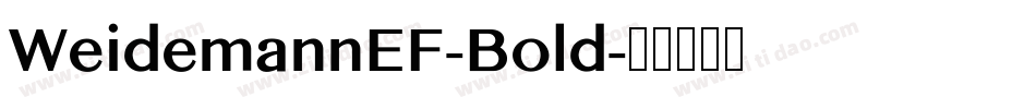WeidemannEF-Bold字体转换