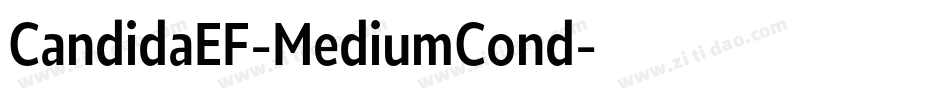 CandidaEF-MediumCond字体转换