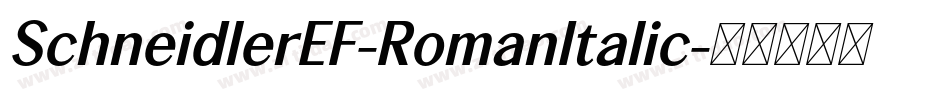 SchneidlerEF-RomanItalic字体转换
