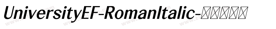 UniversityEF-RomanItalic字体转换