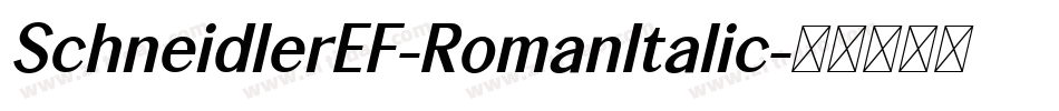 SchneidlerEF-RomanItalic字体转换
